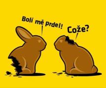 Obraz profilu