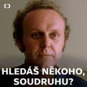 Obraz profilu