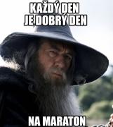 Obraz profilu