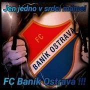 Obraz profilu