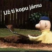 Obraz profilu