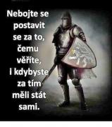 Obraz profilu