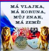 Obraz profilu
