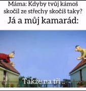 Obraz profilu