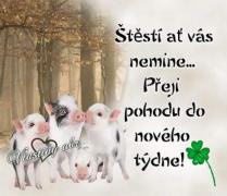 Obraz profilu