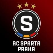 Obraz profilu