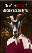 Obraz profilu