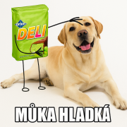 Obraz profilu