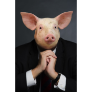 Obraz profilu