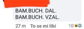 Obraz profilu