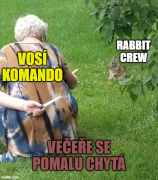 Obraz profilu