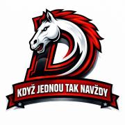 Obraz profilu