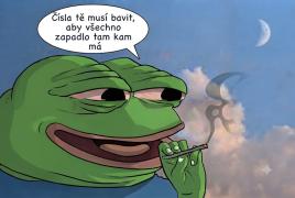 Obraz profilu