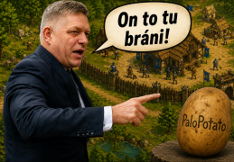 Obraz profilu