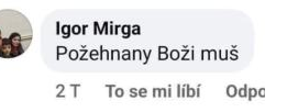 Obraz profilu
