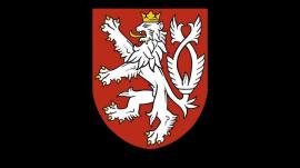 Obraz profilu