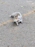 Obraz profilu