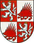 Obraz profilu