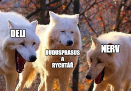 Obraz profilu