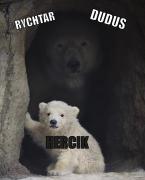 Obraz profilu
